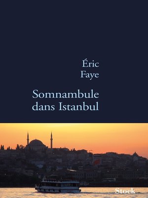 cover image of Somnambule dans Istanbul